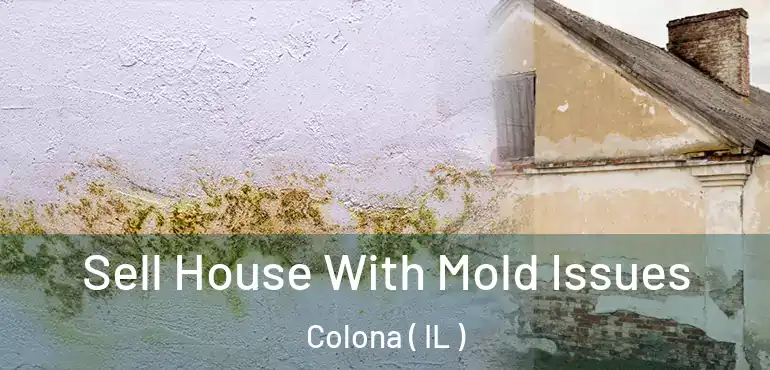  Sell House With Mold Issues Colona ( IL )