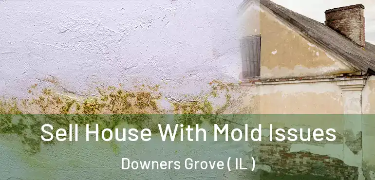  Sell House With Mold Issues Downers Grove ( IL )