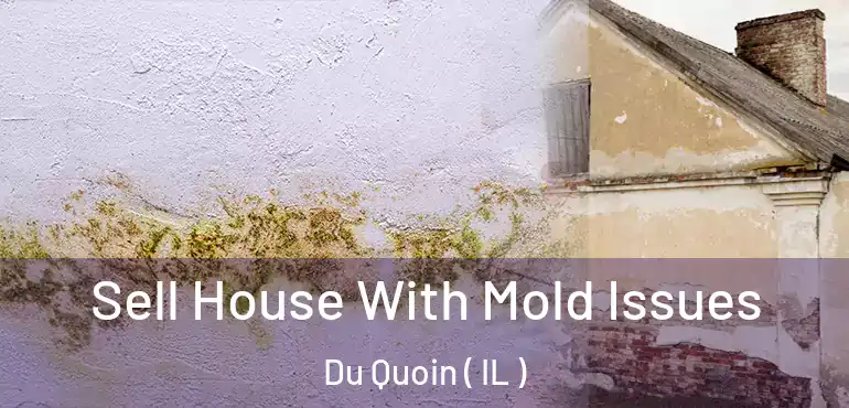  Sell House With Mold Issues Du Quoin ( IL )