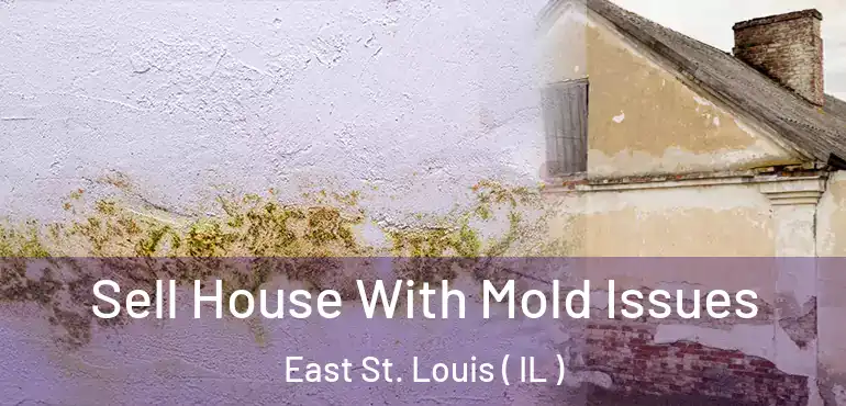  Sell House With Mold Issues East St. Louis ( IL )
