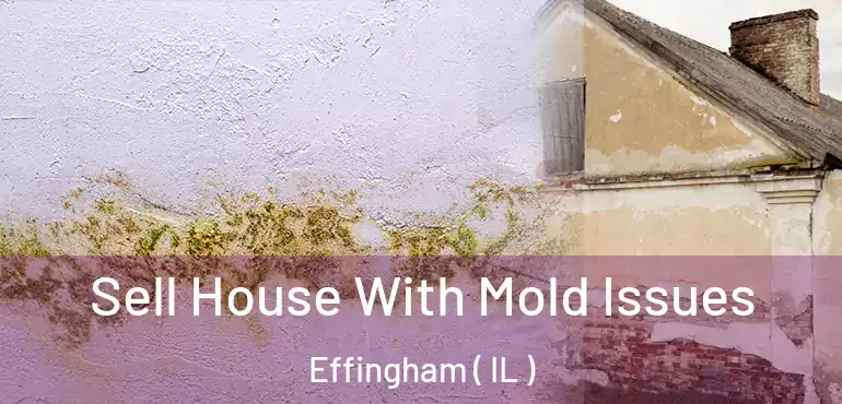  Sell House With Mold Issues Effingham ( IL )