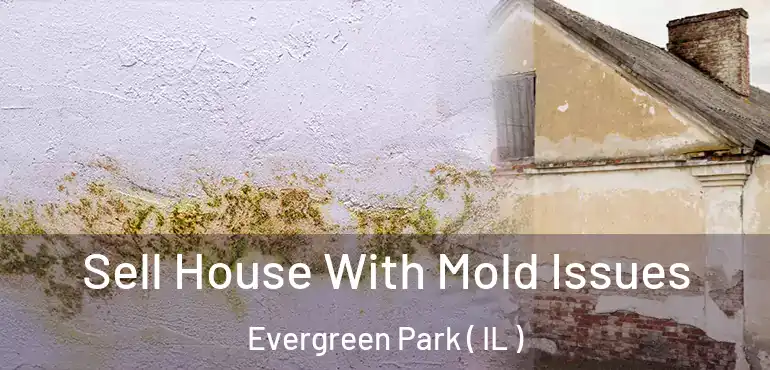  Sell House With Mold Issues Evergreen Park ( IL )