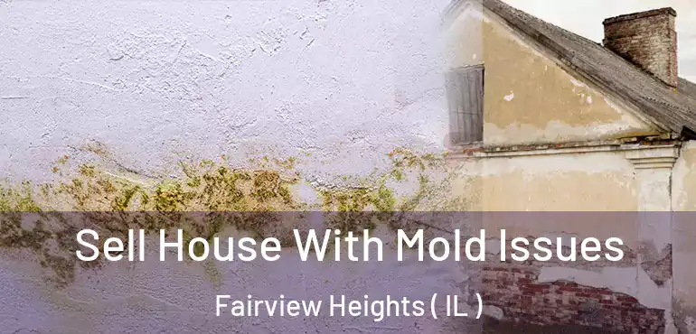  Sell House With Mold Issues Fairview Heights ( IL )