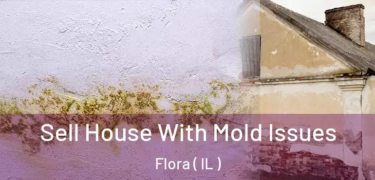  Sell House With Mold Issues Flora ( IL )