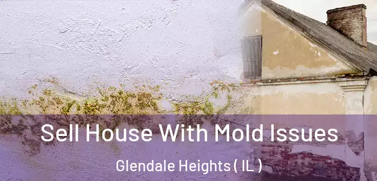  Sell House With Mold Issues Glendale Heights ( IL )