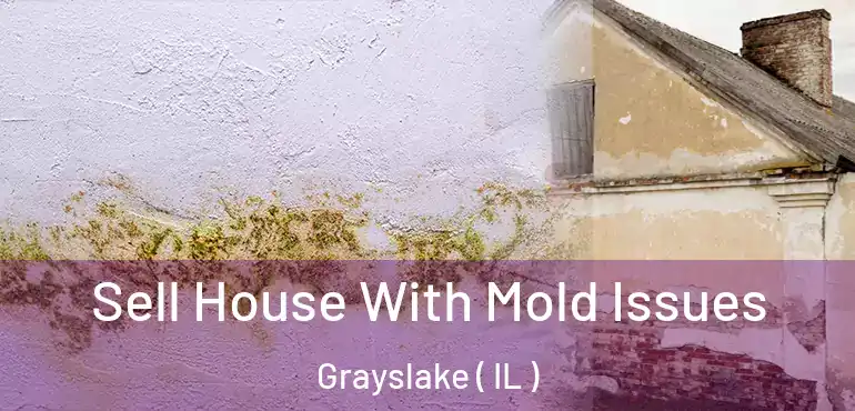  Sell House With Mold Issues Grayslake ( IL )