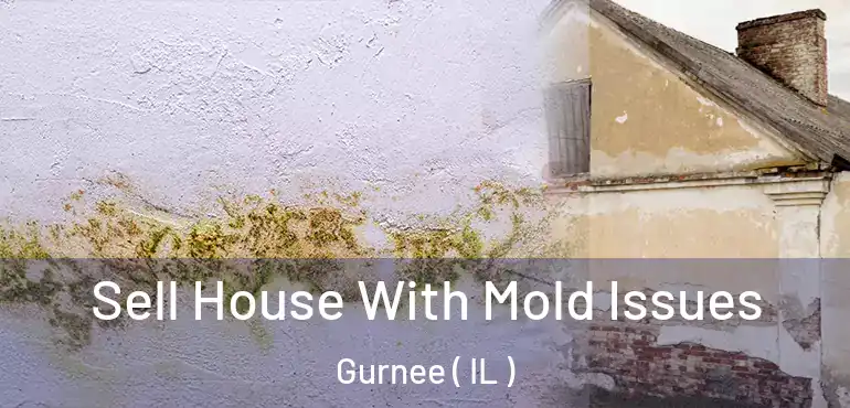  Sell House With Mold Issues Gurnee ( IL )