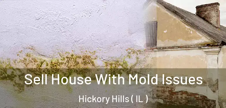  Sell House With Mold Issues Hickory Hills ( IL )