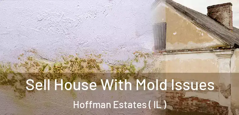  Sell House With Mold Issues Hoffman Estates ( IL )
