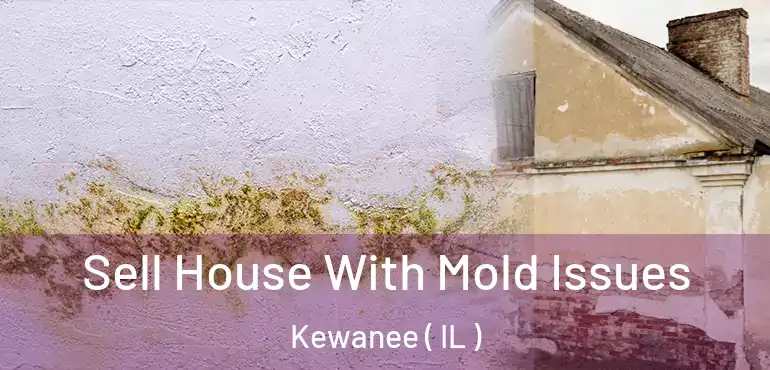  Sell House With Mold Issues Kewanee ( IL )