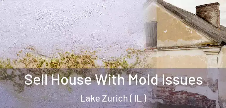  Sell House With Mold Issues Lake Zurich ( IL )