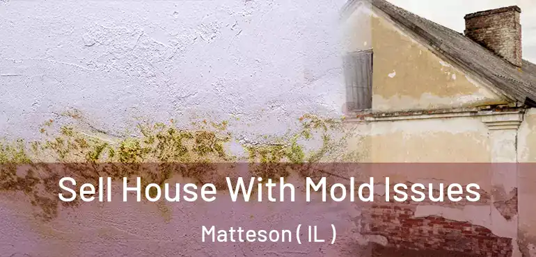  Sell House With Mold Issues Matteson ( IL )