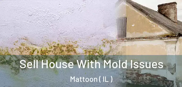  Sell House With Mold Issues Mattoon ( IL )