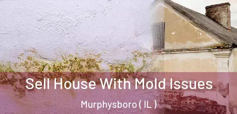  Sell House With Mold Issues Murphysboro ( IL )