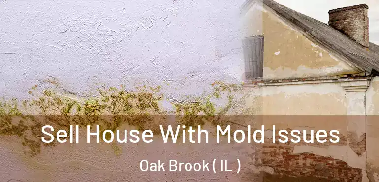 Sell House With Mold Issues Oak Brook ( IL )