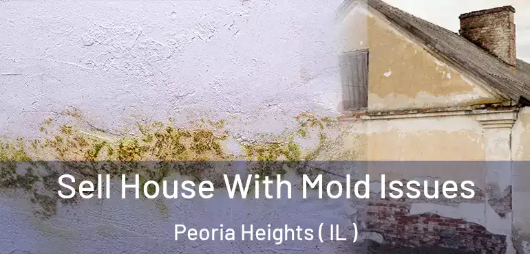  Sell House With Mold Issues Peoria Heights ( IL )