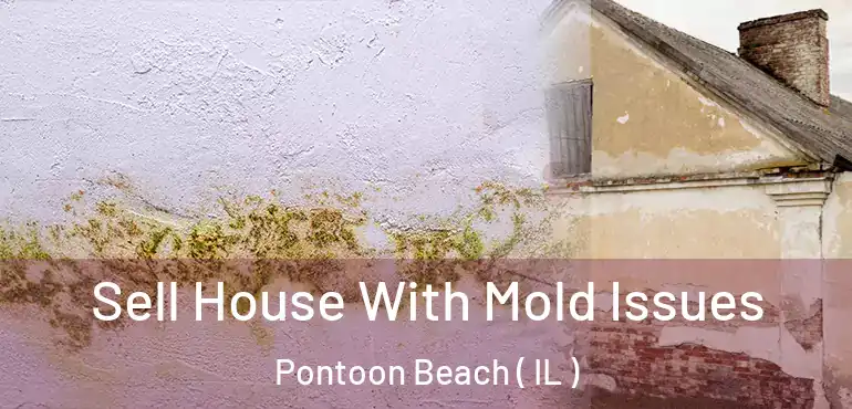  Sell House With Mold Issues Pontoon Beach ( IL )