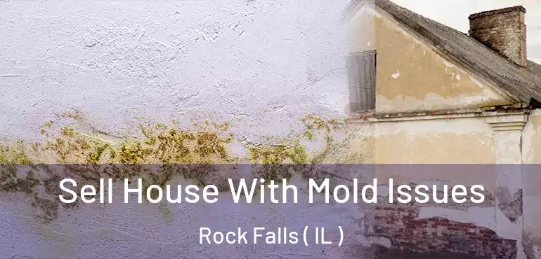  Sell House With Mold Issues Rock Falls ( IL )