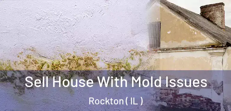  Sell House With Mold Issues Rockton ( IL )