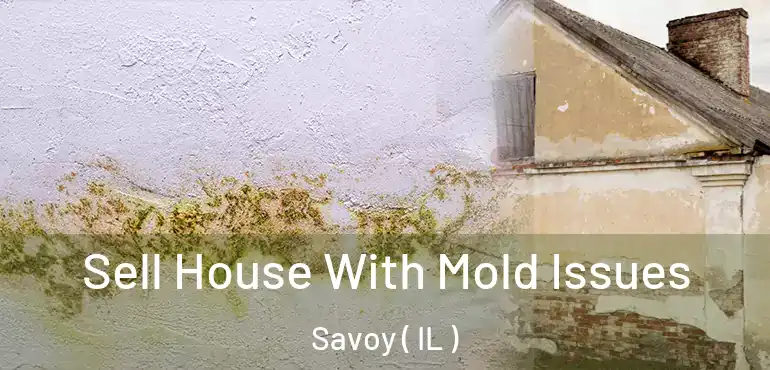  Sell House With Mold Issues Savoy ( IL )