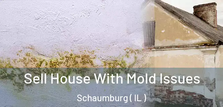  Sell House With Mold Issues Schaumburg ( IL )