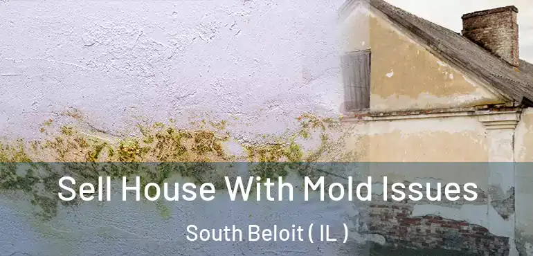  Sell House With Mold Issues South Beloit ( IL )
