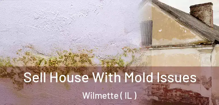  Sell House With Mold Issues Wilmette ( IL )