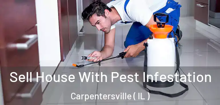  Sell House With Pest Infestation Carpentersville ( IL )