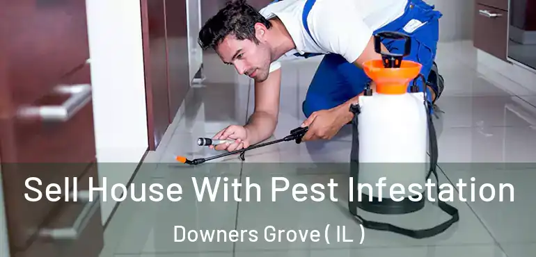  Sell House With Pest Infestation Downers Grove ( IL )