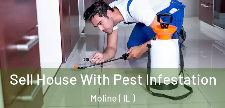  Sell House With Pest Infestation Moline ( IL )