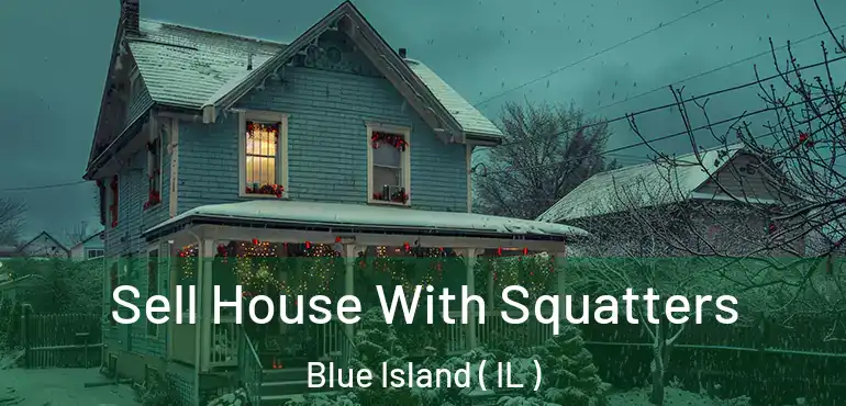  Sell House With Squatters Blue Island ( IL )