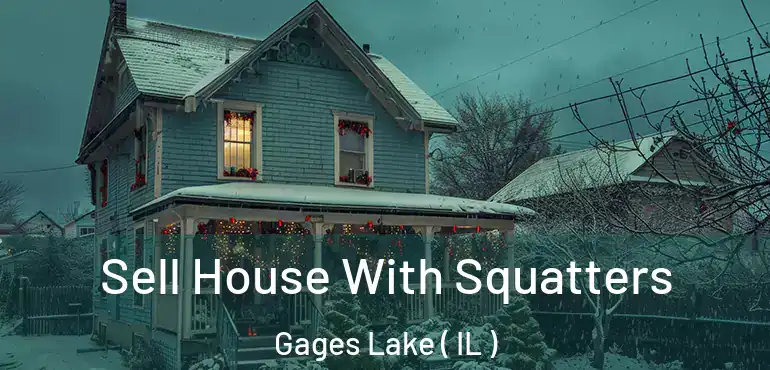 Sell House With Squatters Gages Lake ( IL )