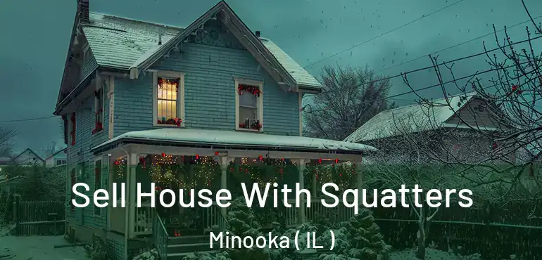  Sell House With Squatters Minooka ( IL )