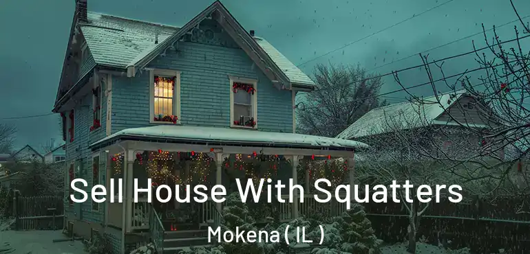  Sell House With Squatters Mokena ( IL )