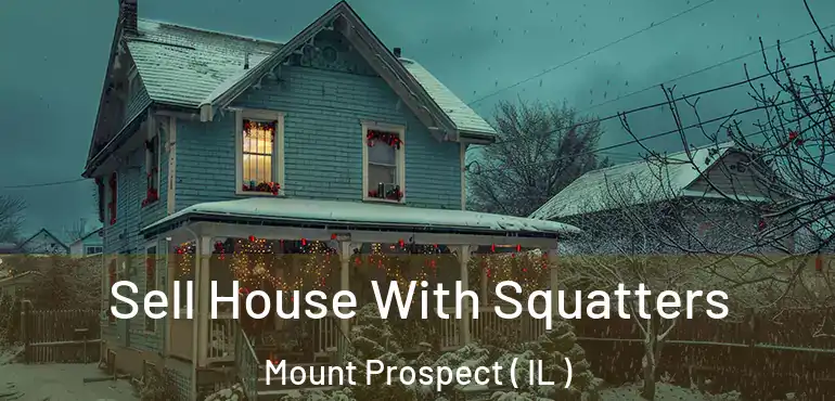  Sell House With Squatters Mount Prospect ( IL )