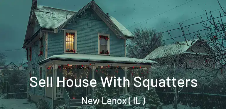  Sell House With Squatters New Lenox ( IL )
