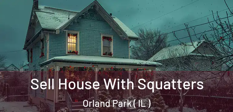  Sell House With Squatters Orland Park ( IL )