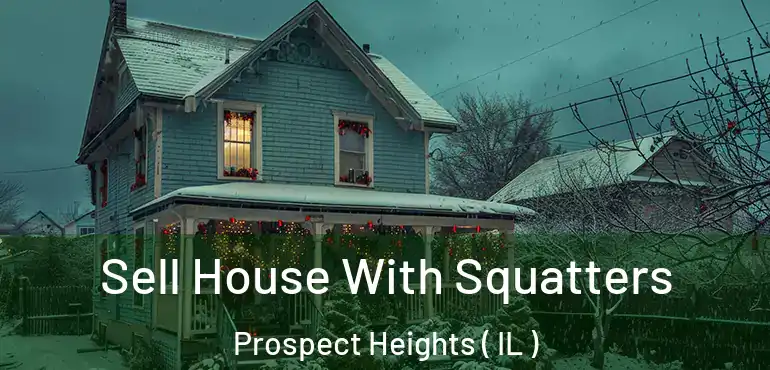  Sell House With Squatters Prospect Heights ( IL )