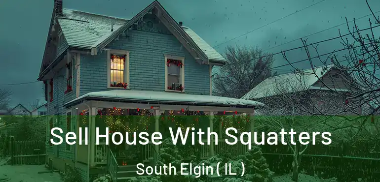  Sell House With Squatters South Elgin ( IL )