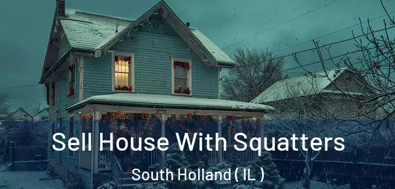 Sell House With Squatters South Holland ( IL )