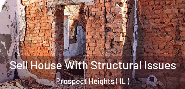  Sell House With Structural Issues Prospect Heights ( IL )