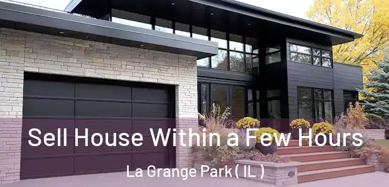  Sell House Within a Few Hours La Grange Park ( IL )