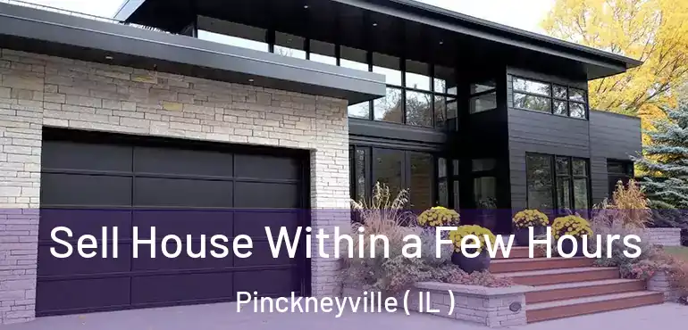  Sell House Within a Few Hours Pinckneyville ( IL )