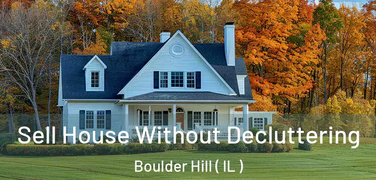  Sell House Without Decluttering Boulder Hill ( IL )