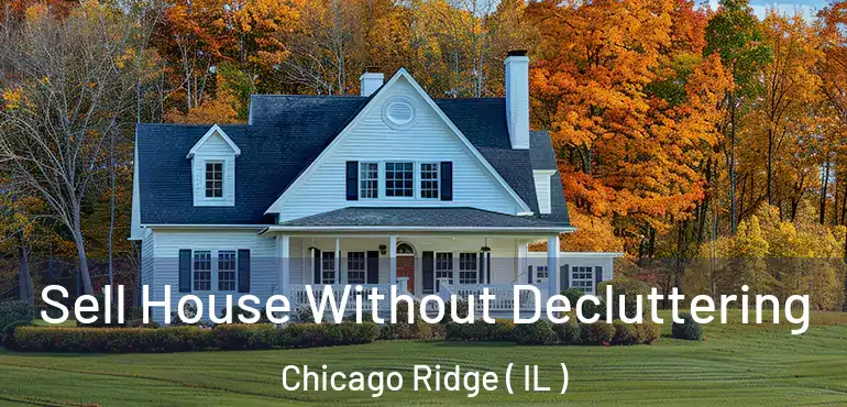  Sell House Without Decluttering Chicago Ridge ( IL )