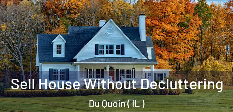  Sell House Without Decluttering Du Quoin ( IL )