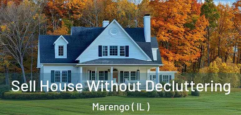 Sell House Without Decluttering Marengo ( IL )