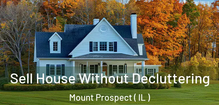  Sell House Without Decluttering Mount Prospect ( IL )