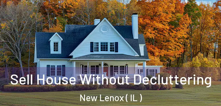  Sell House Without Decluttering New Lenox ( IL )