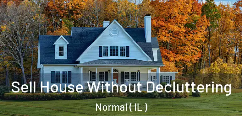  Sell House Without Decluttering Normal ( IL )